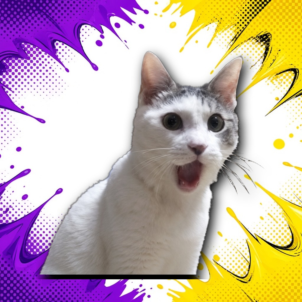 OMG Cat reaction 8